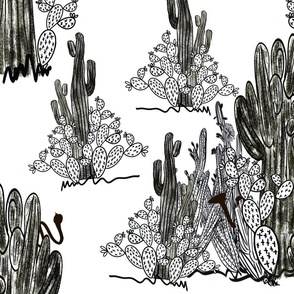 Arizona desert cactus black and white