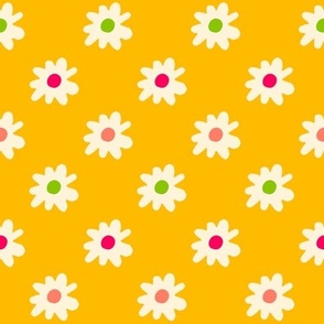bright and colorful daisies