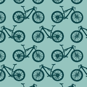 desert mountain biking collection mountain bikes in cyan blue