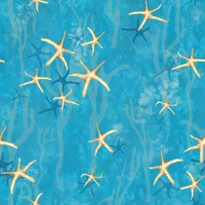 Starfish Symphony - Small Print