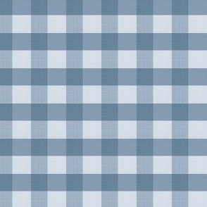 Boney Lake Blue Gingham 