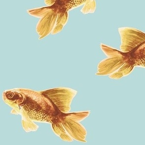 Golden Goldfish on Blue // large