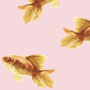 Goldfish on Pink // large