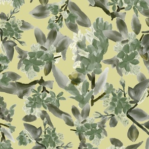 Hawthorn Haze Painterly Abstract Florals in sage green on pale olive