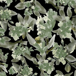 Hawthorn Haze Painterly Abstract Florals in sage green on black