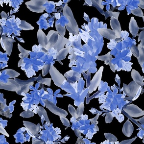 Hawthorne Haze Painterly Abstract Florals in Cerulean Blue and Grey on black