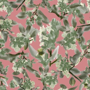 Hawthorne Haze Painterly Abstract Florals in Sage Green  on Pink