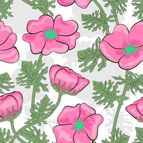 pink animona flowers on white gray background