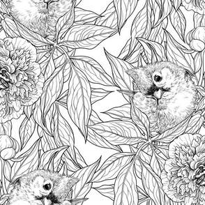 Birds and peony flowers in black and white