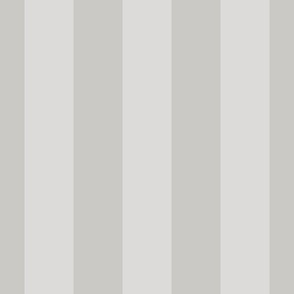 Crushed Ice and Light French Gray Cabana Stripe