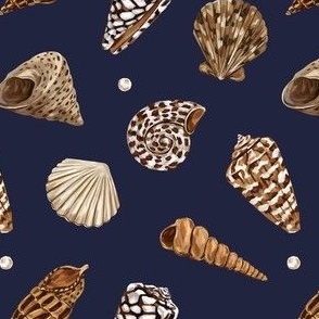 Shells (dark blue)