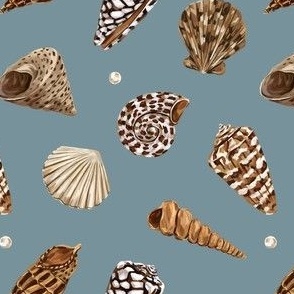 Shells (light blue)