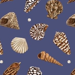 Shells (blue)