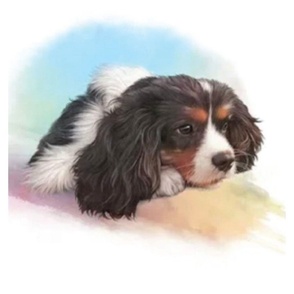 CKC Spaniel dog with rainbow background  for quilting 17 X17 inch