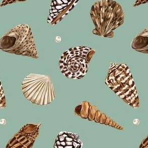 Shells (mint)