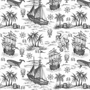 Nautical Toile Black