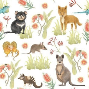 Australian Animals: kangaroo, dingo, tasmanian devil, swamp wallaby, numbat, bilby, frilled neck lizard  on white small scale