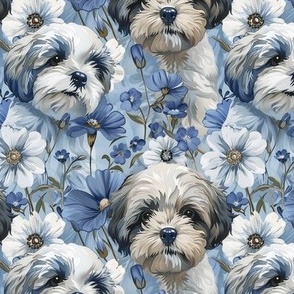 Adorable Shi Tzu Puppies and Blue Periwinkles Flowers, Blue