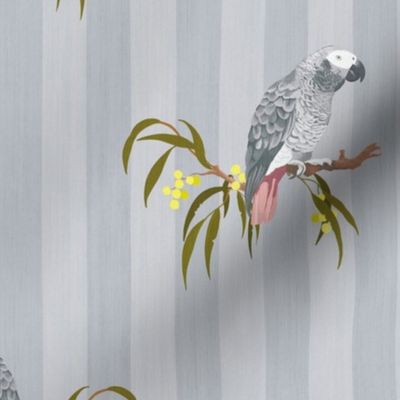 Grey Parrot - Blue Grey (Medium Scale)