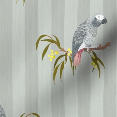 Grey Parrot - Light Grey (Medium Scale)