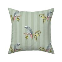 Grey Parrot - Soft Green (Medium Scale)