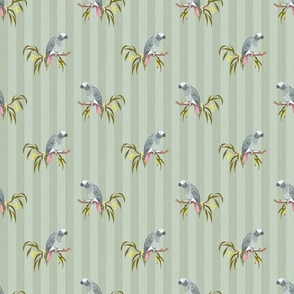 Grey Parrot - Soft Green (Small Scale)
