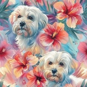 Cute Watercolor Maltese and Tropical Hibiscus Flowers, Bright