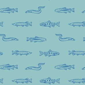 [L] Vintage Freshwater Fishes:Turquoise on Blue #P230502