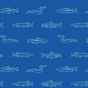 [L] Vintage Freshwater Fishes:Signature Blue and turquoise #P230503