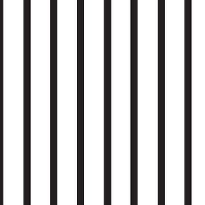 Large -  black and white thin stripes