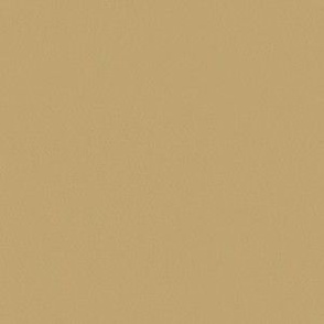 Latte textured solid color - c7b07cog