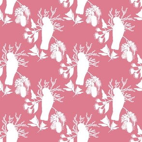 Australian Floral Galahs - white silhouettes on fandango pink, medium