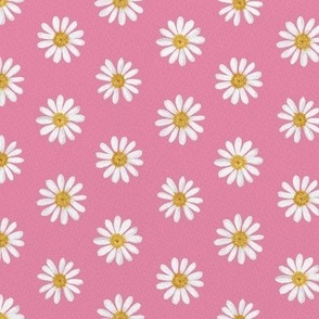 White daisy on pink 24in