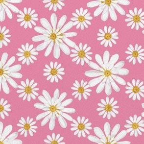 White double daisy on pink 24in