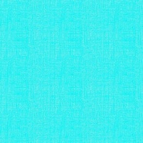 Faux woven burlap texture solid on turquoise bright