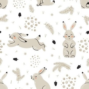 winter cute white hares 2