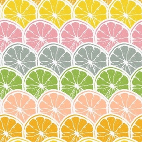 Citrus Summer Rainbow Stripes in Bright Colors: Medium