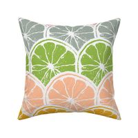 Citrus Summer Rainbow Stripes in Bright Colors: Large
