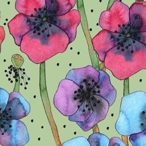 Anemones on sage green