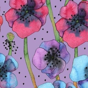 Anemones on purple