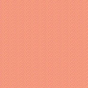 Daisy Meadow (1.5") - orange, pink, cream (ST2021DM)