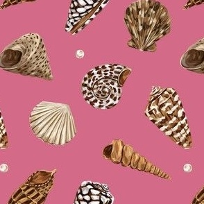 Shells (pink)