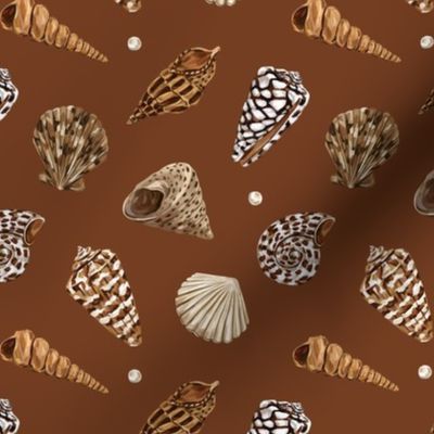 Shells (terracotta)