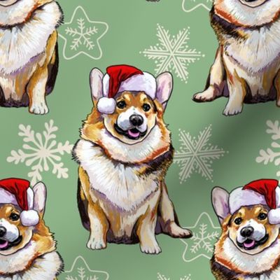 funny christmas corgi, dog santa on green