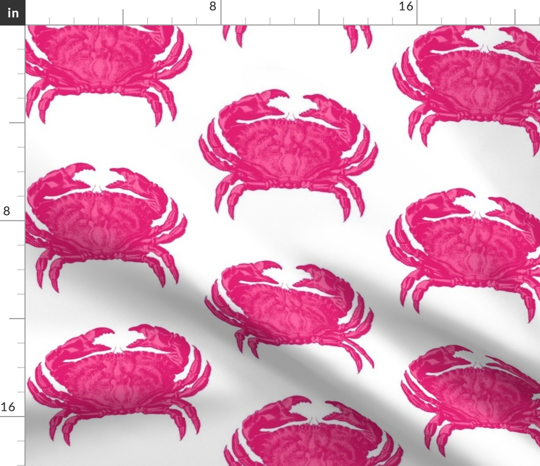 Bold Pink Jumbo Crabs - claws for celebration