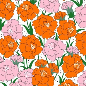 Carnation_Orange Pink