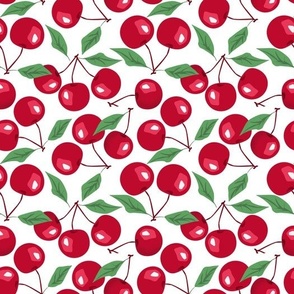 Red cherries on a white background.