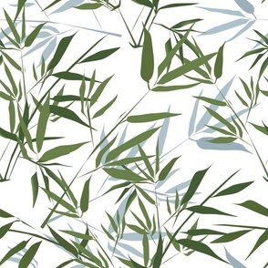 Bamboo. Gray, green bamboo branches on a white background.