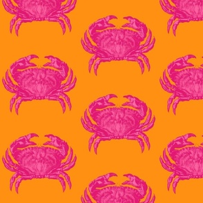 jumbo pink crab on tangerine orange background