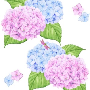 Hydrangeas And Dragonfly Floral 2